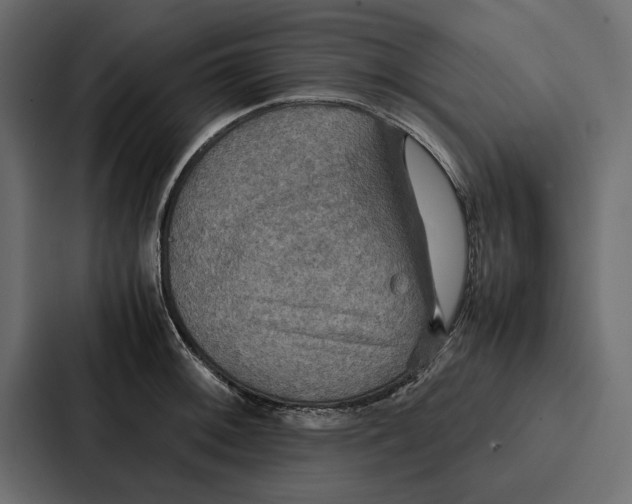 X0000086791092200705111810