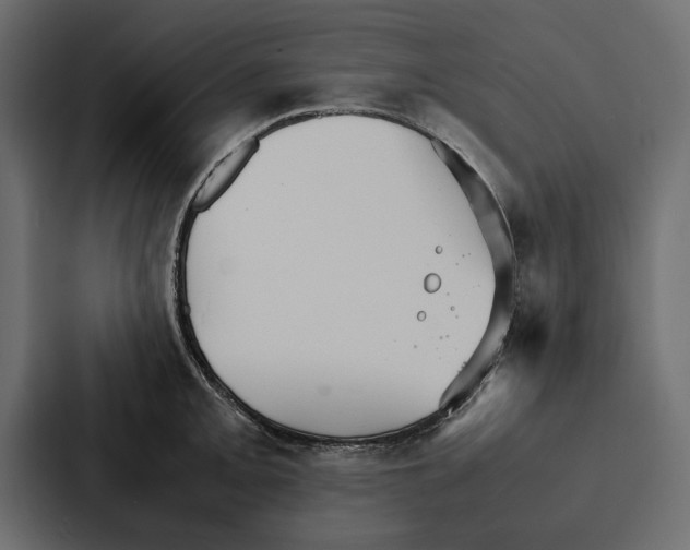 X0000086791093200705111810