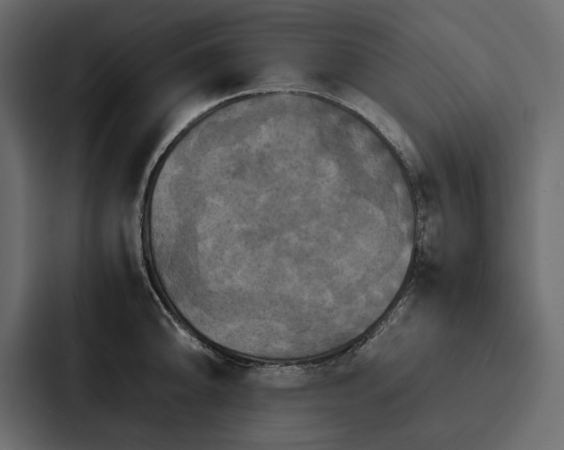 X0000086791094200705111810