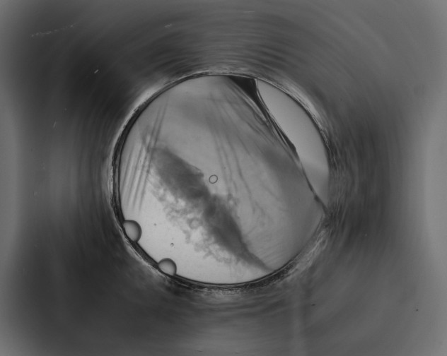 X0000086791095200705111810