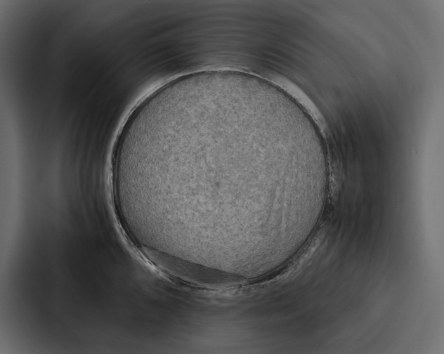 X0000086791096200705111810