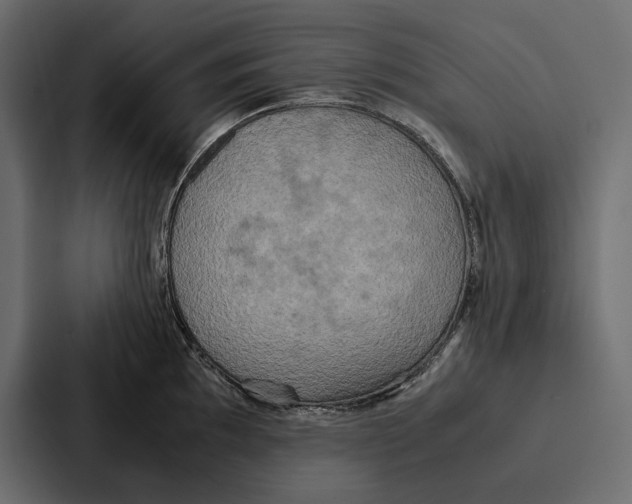 X0000086791097200705111810