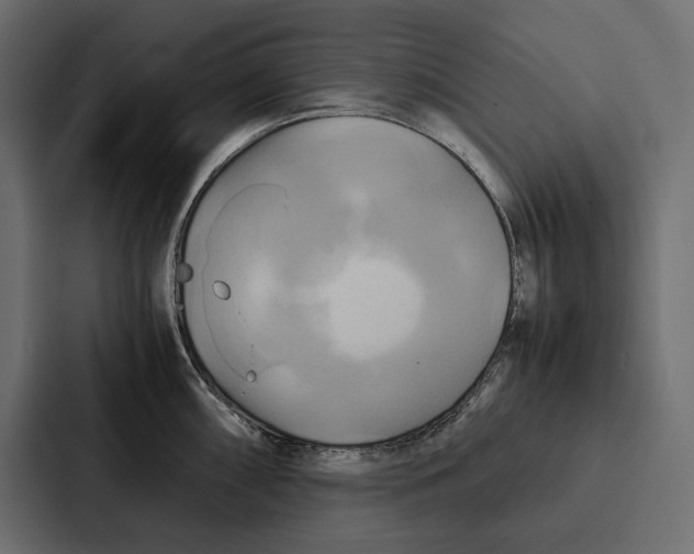 X0000086791098200705111810