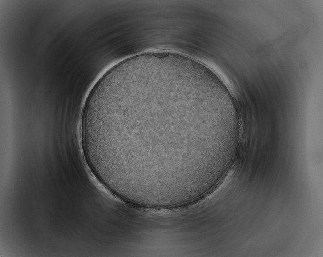 X0000086791100200705111810