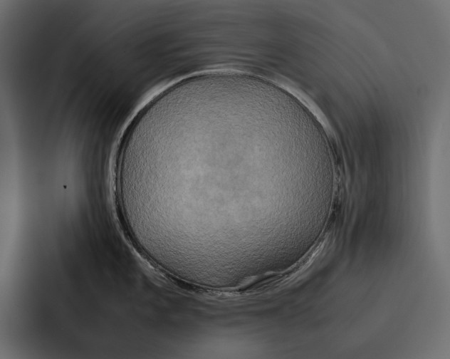 X0000086791101200705111810