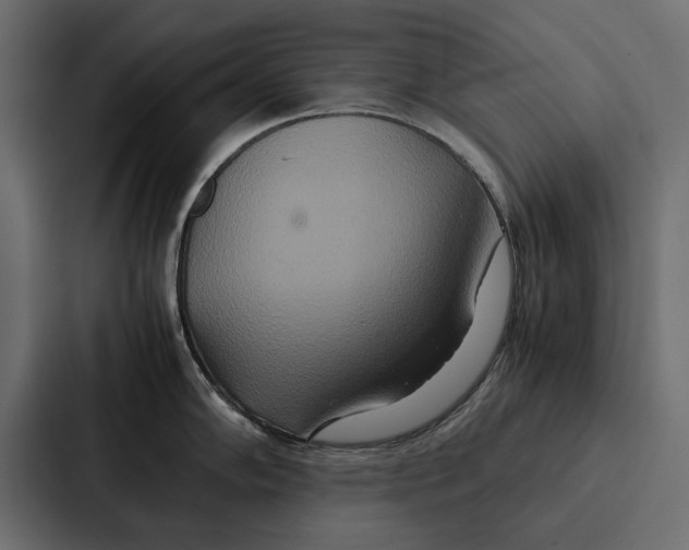 X0000086791102200705111810