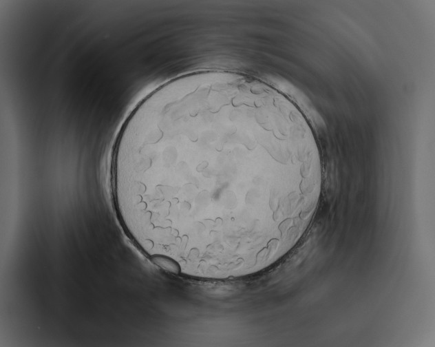 X0000086791103200705111810