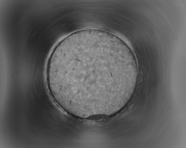 X0000086791104200705111810