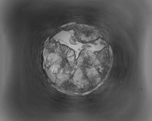 X0000086791105200705111809