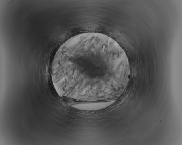 X0000086791106200705111810