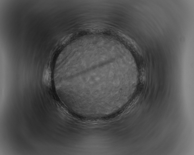 X0000086791108200705111810