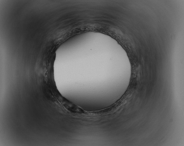 X0000086791109200705111810