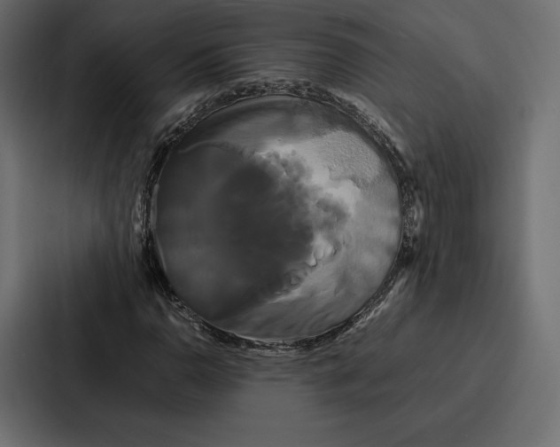 X0000086791110200705111810