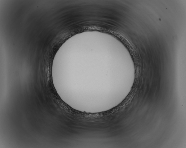 X0000086791111200705111810