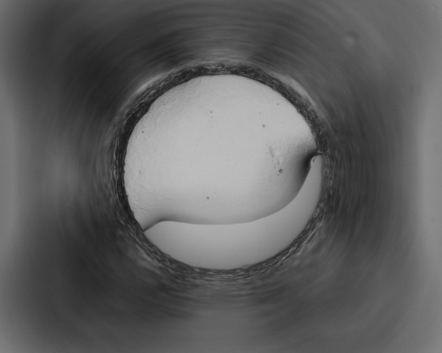 X0000086791112200705111810