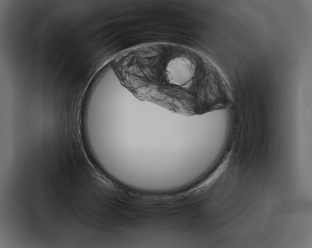 X0000086791113200705111810