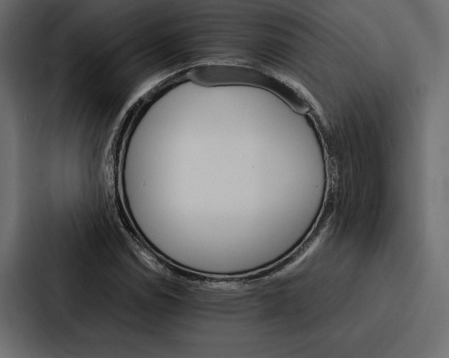 X0000086791114200705111810