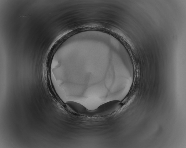 X0000086791117200705111810