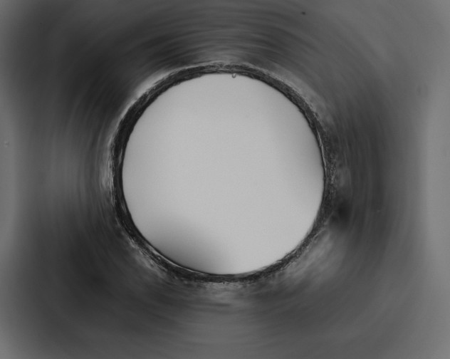 X0000086791118200705111810