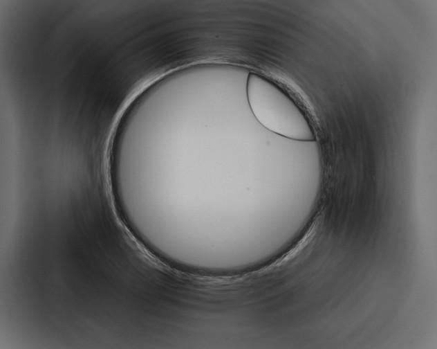 X0000086791122200705111810