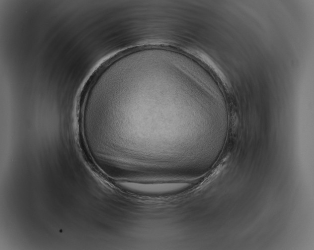 X0000086791124200705111810