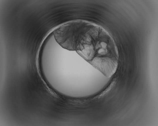 X0000086791125200705111810