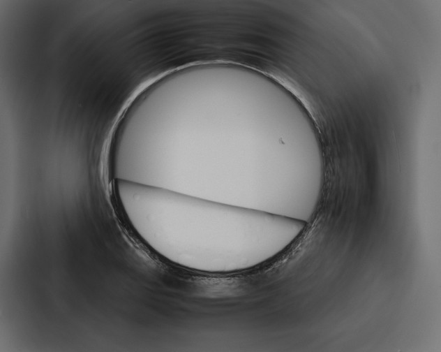 X0000086791127200705111810