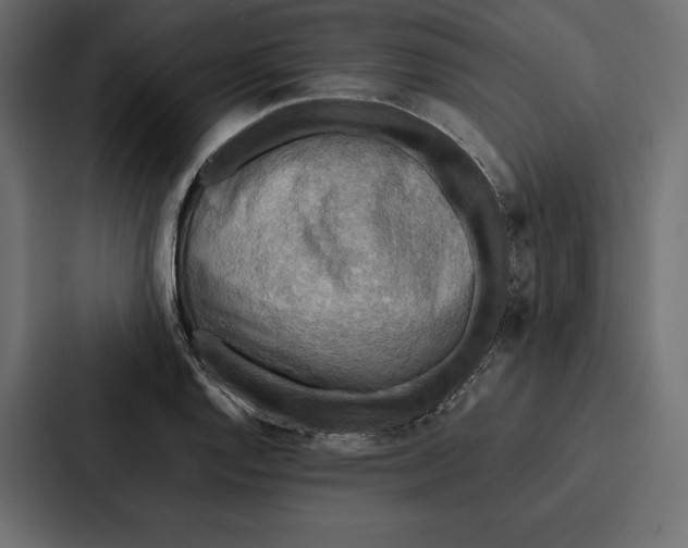 X0000086791128200705111810