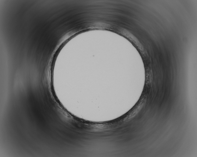 X0000086791130200705111810