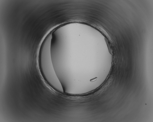 X0000086791132200705111810