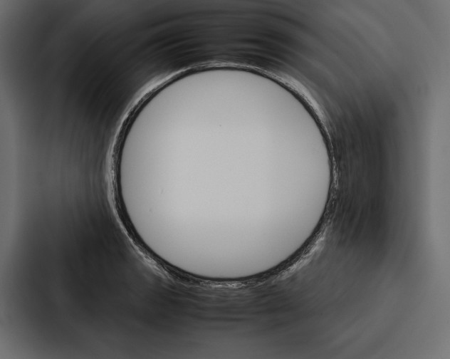 X0000086791133200705111810