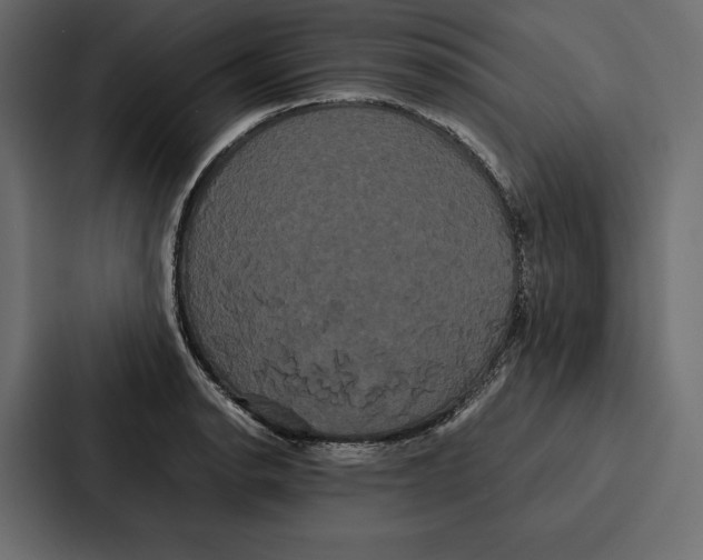 X0000086791134200705111810