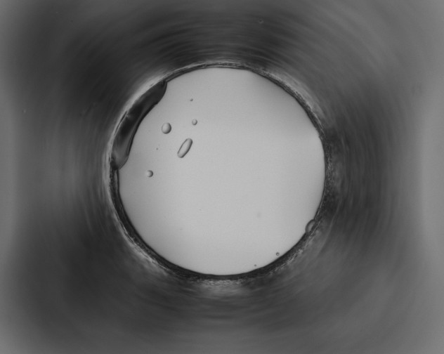 X0000086791135200705111810