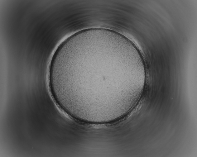 X0000086791136200705111810