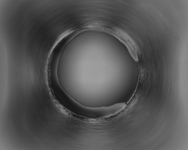 X0000086791138200705111810