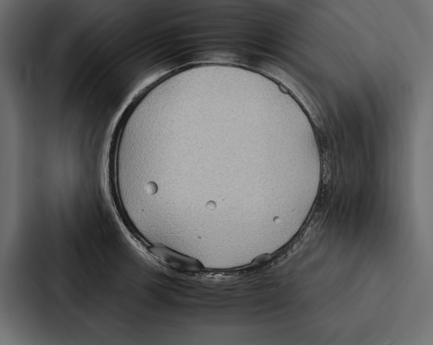 X0000086791139200705111810