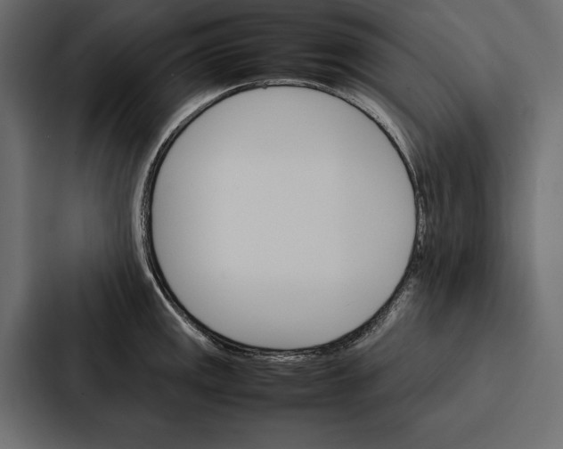 X0000086791141200705111810