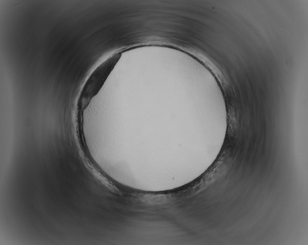 X0000086791142200705111810