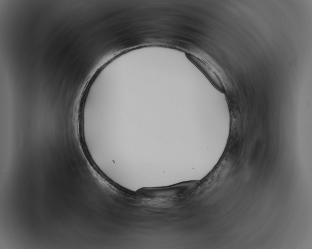 X0000086791143200705111810