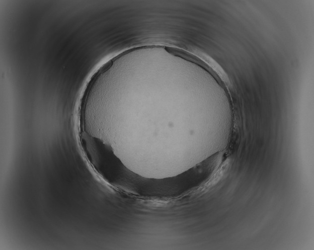 X0000086791144200705111810