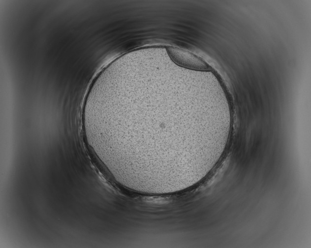 X0000086791145200705111810