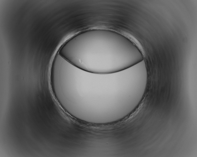 X0000086791146200705111810