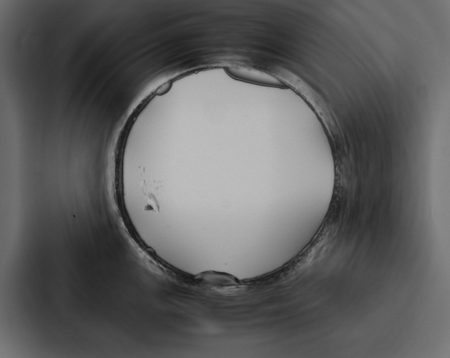 X0000086791147200705111810