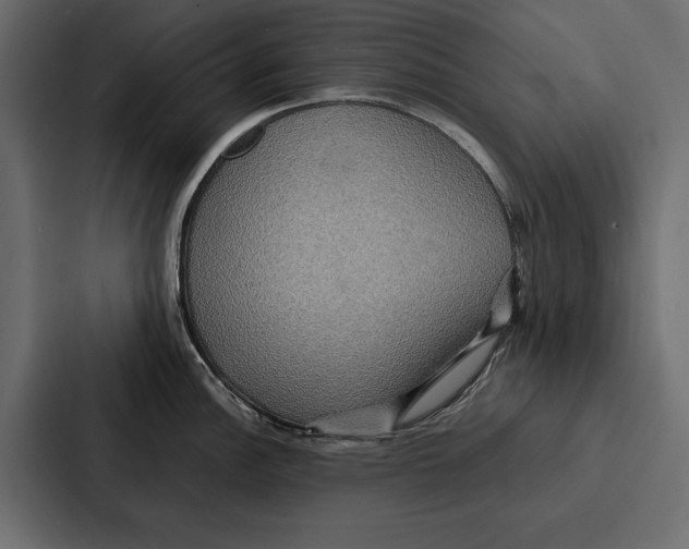 X0000086791148200705111810