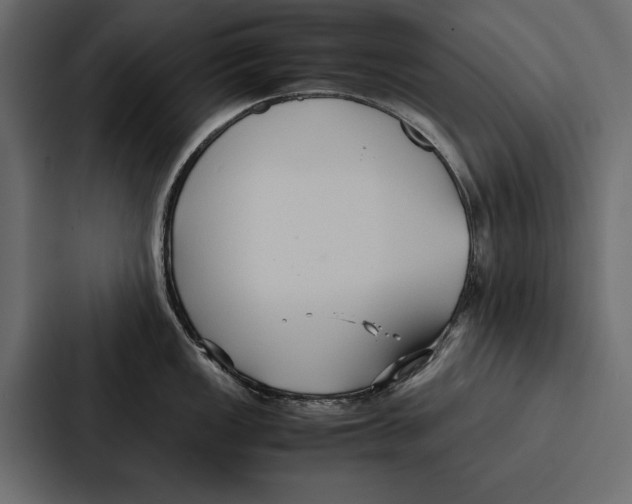 X0000086791149200705111810