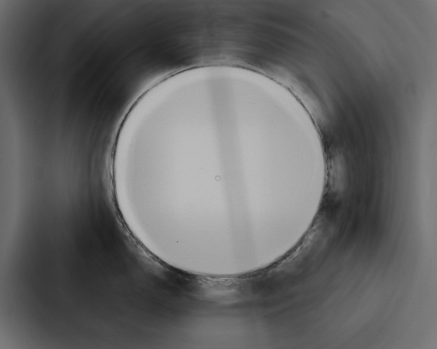 X0000086791150200705111810