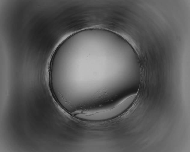 X0000086791151200705111810