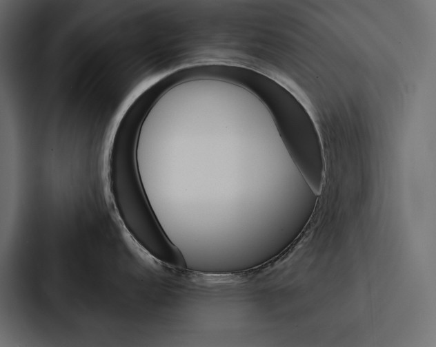 X0000086791152200705111810