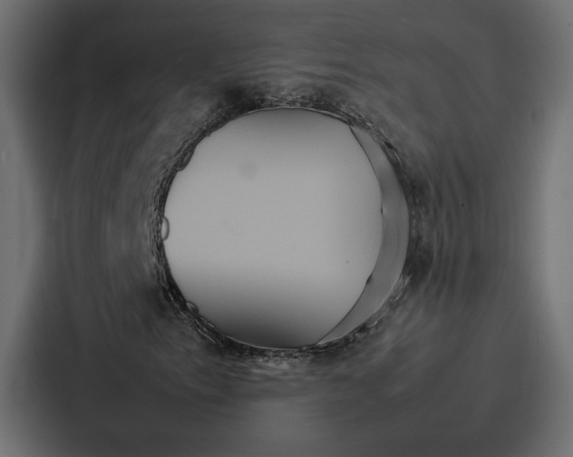 X0000086791153200705111809