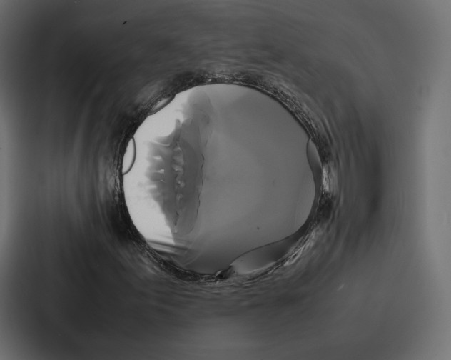 X0000086791155200705111809